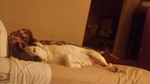 Fine Motel Living. CT, USA