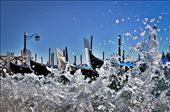 by underwater, Views[181]