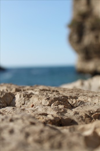 The awakening of the summer, after a winter full of tears. Someone is gone...