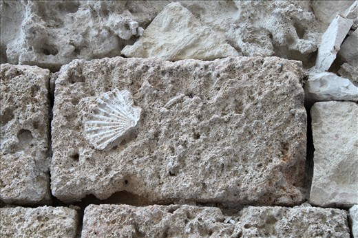 ... only littlle, precious, delicate memories are left. Inside me.