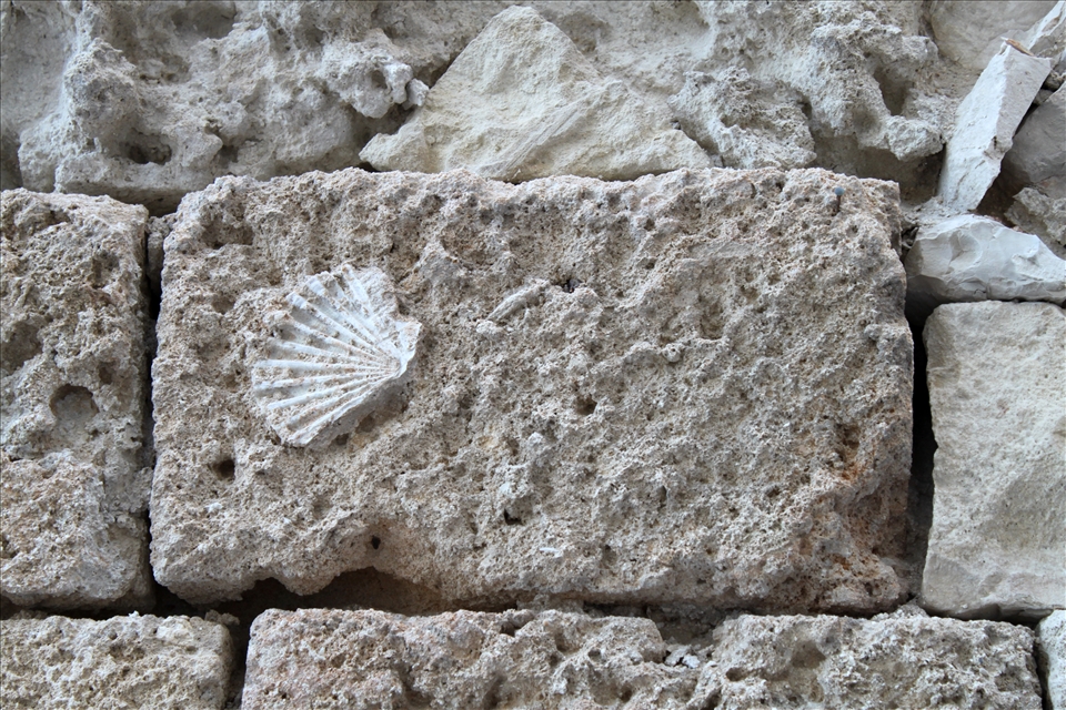 ... only littlle, precious, delicate memories are left. Inside me.