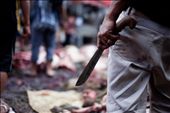 Ceremonial butchers kill the animals in a bloody fashion and cut it up for food: by unioz, Views[522]