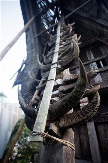 family houses display the horns of all sacrificed water buffaloes over time