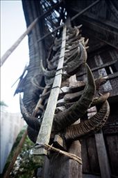 family houses display the horns of all sacrificed water buffaloes over time: by unioz, Views[425]