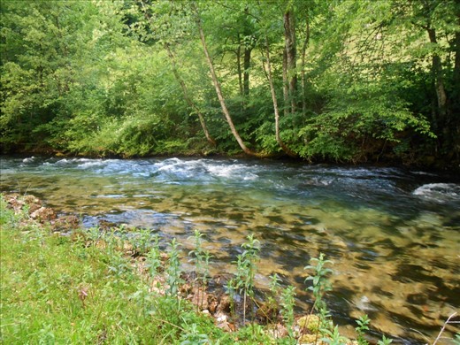 Bosnia and Herzegovina is one of the European countries which has the highest level of diversity of their nature, including hydrosphere and biosphere. The biosphere has the advantage that the country is relatively sparsely populated and there are also uninhabited areas. Even half of the country is forested, and especially its mountains. This untouched nature looks so powerful and colorful live that you simply can’t resist! For example, I couldn’t take my eyes off this ‘’tiger patterns’’ of the river Pliva. There is a significant number of endemic plant species, Bosnian lily which grows on calcareous soil is one of them. Also, some of the animals which have become extinct in Europe were held there as wolves, brown bears and grouses. 