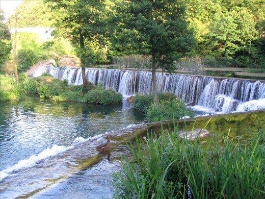 According to some research Bosnia possess more water than the whole Central Europe owing to their impressive network of surface and groundwater flows. There are seven important rivers such as Drina, Sava and Vrbas, many wonderful national parks as Sutjeska, Kozara and Una and nature parks like Hutovo blato and Blidinje. Natural lakes takes 61,5 km2 size of the country and one of the biggest is Plivsko lake. Look at just how this duck enjoy the cascade on the beautiful Plivsko lake.