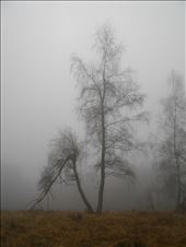 Alone and Broken: by upthehill, Views[190]