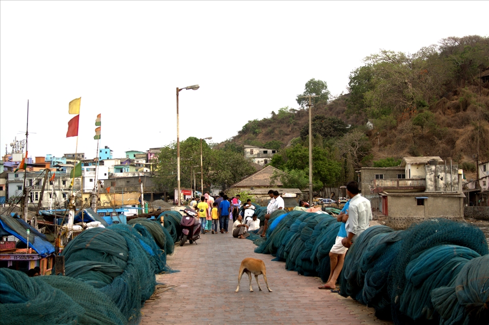 The Dockyard, itself