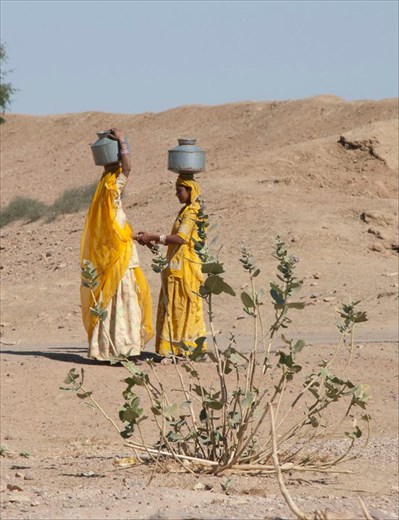 Stopping to chitchat in Rajasthan