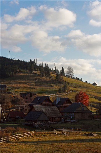 Carpathian culture is very reach being pure at the same time.On this photo are the middle-statistic houses of ukrainians from this part of country.It looked very friendly and warm.All around were grazing cows and horses with the jingles on their necks.This photo was made while travelling to Bukovel' by fit .