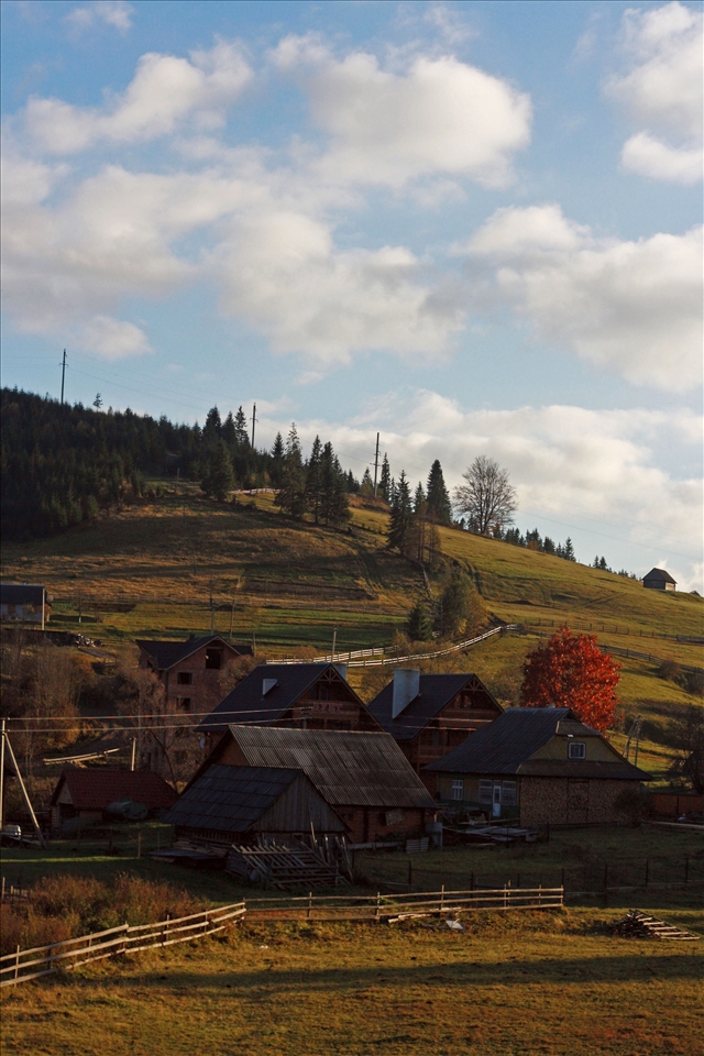 Carpathian culture is very reach being pure at the same time.On this photo are the middle-statistic houses of ukrainians from this part of country.It looked very friendly and warm.All around were grazing cows and horses with the jingles on their necks.This photo was made while travelling to Bukovel' by fit .