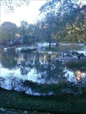 by usadiary, Views[195]