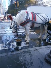 by usadiary, Views[246]