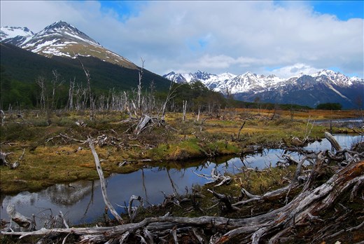 A journey throught wilderness.