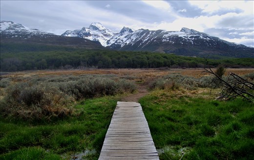 A bridge into nature.