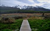 A bridge into nature.: by ushuaiapics, Views[272]
