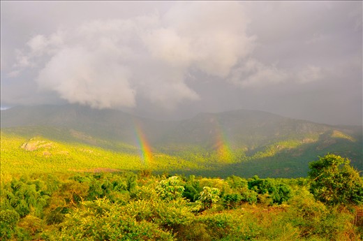 Nationalparc, south India, Nilgiri Hills. I was actually waiting for a tiger.