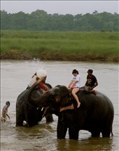 This is me being awe-struck/terrified on an elephant. : by utterlyemily, Views[180]