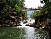 by vadym, Views[362]