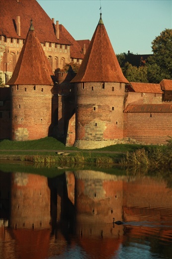 Malbork Castle and swan