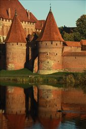Malbork Castle and swan: by vagabonds, Views[213]
