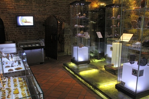 Amber Museum