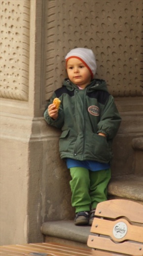 Snack time, swamp wallaby and joey