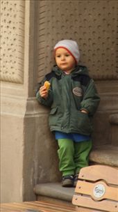 Snack time, swamp wallaby and joey: by vagabonds, Views[639]