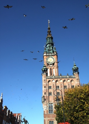 Town Hall, Royal Mile