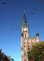 Town Hall, Royal Mile: by vagabonds, Views[607]