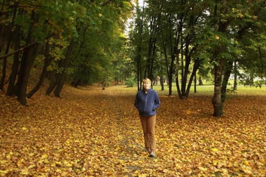 Autumn leaves near the Citadel