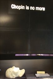 Death mask, Chopin Museum: by vagabonds, Views[753]