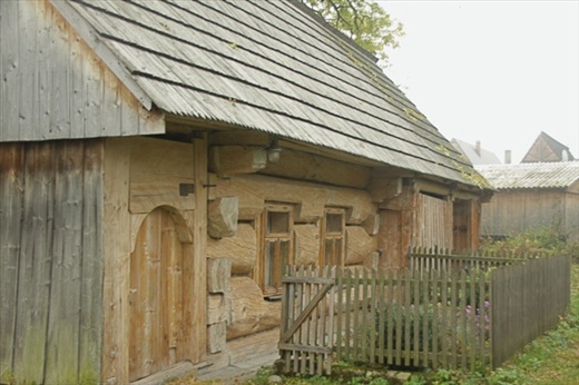 #24, all from a single fir tree, Chocholow 