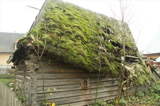 ... if untended, Chocholow 