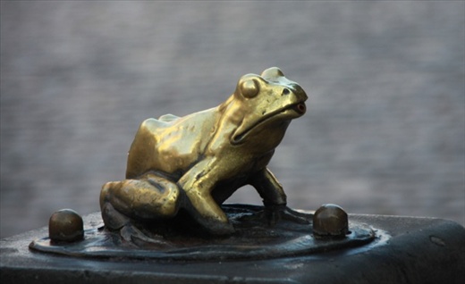 Fountain frog, Old Town Torun