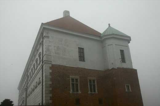 Castle, Sandomierz 