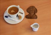 Coffee break with Copernicus ginger cookie, Old Town Torun: by vagabonds, Views[673]