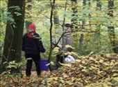 Hunting mushrooms, Roztocze N.P. forest: by vagabonds, Views[634]