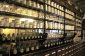 Pharmacy Museum: by vagabonds, Views[1304]