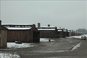Wooden Birkenau barracks: by vagabonds, Views[1042]