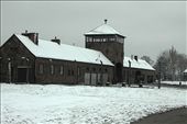 Birkenau, an engineered death camp: by vagabonds, Views[973]