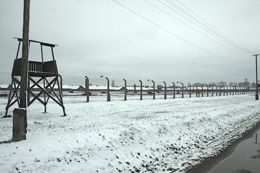 Birkenau vista, 425 acres, 100,000 prisoners