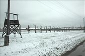 Birkenau vista, 425 acres, 100,000 prisoners: by vagabonds, Views[897]