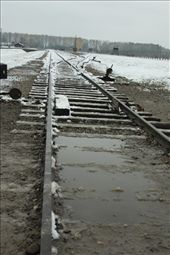 Railroad to hell, Birkenau: by vagabonds, Views[1003]