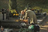 All Hallow's Eve, cemetery in Silesia: by vagabonds, Views[749]