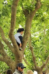 Best seat in the house, Día de la Tradición: by vagabonds, Views[812]