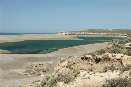 Elephant seals, Peninsula Valdes