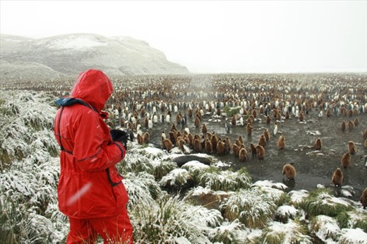 1, 2, 3 ..., 39,077, 39,078