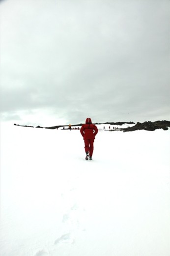 Hiking to the penguin rookery, King George Bay