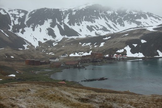 Grytviken